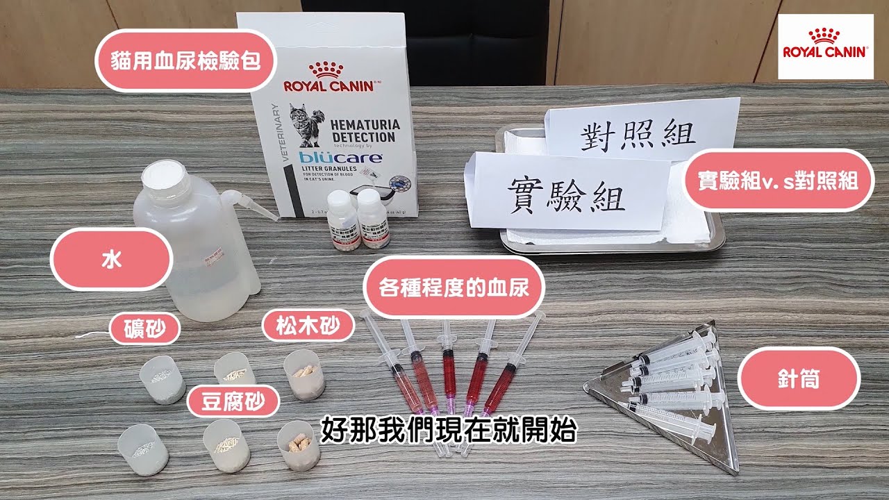 【PetTalk來開箱】新品上線！貓用血尿檢驗包，幫你監控貓咪的健康！｜姚勝隆獸醫師