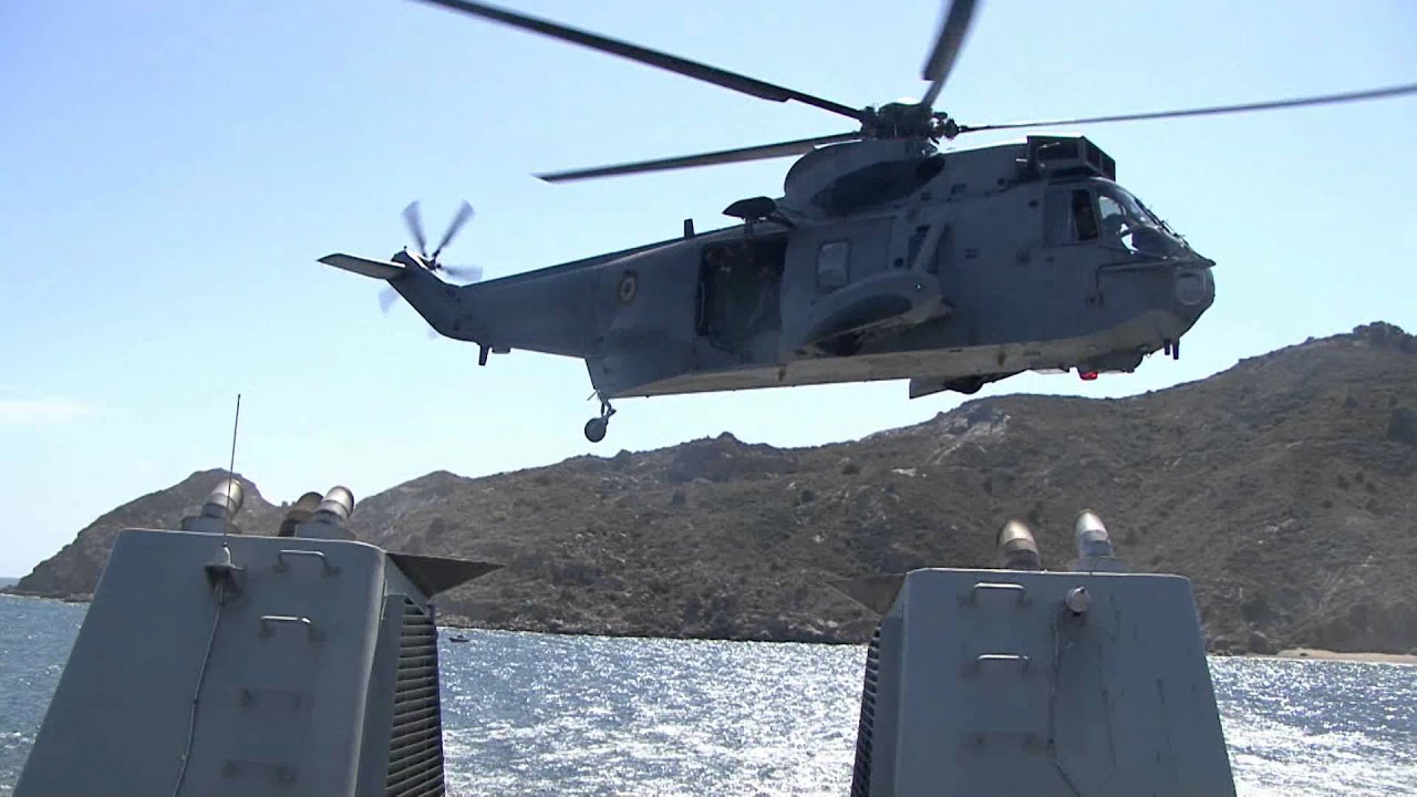 Fuerza de Guerra Naval Especial - Armada española