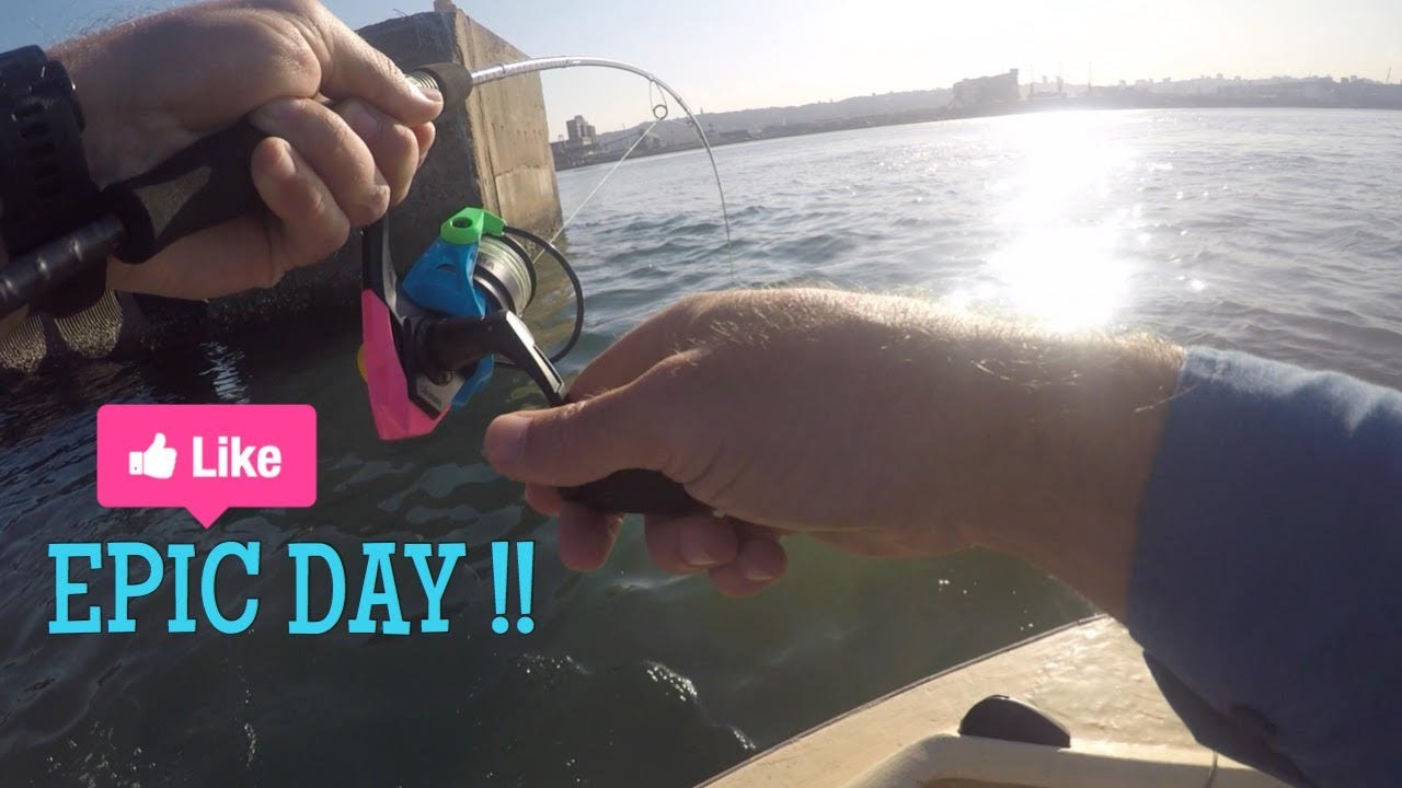 Spinning at DBN Harbour, another EPIC Afternoon catching Kingies in winter. (South Africa, KZN)