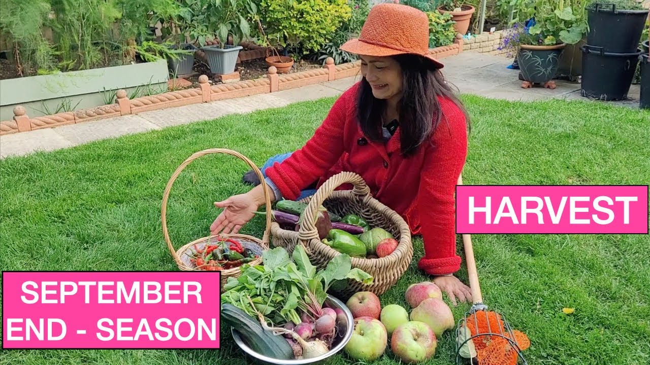 SEPTEMBER 2022 END of SEASON HARVEST 🍆🍎🥒🌶🧅🍅🌸