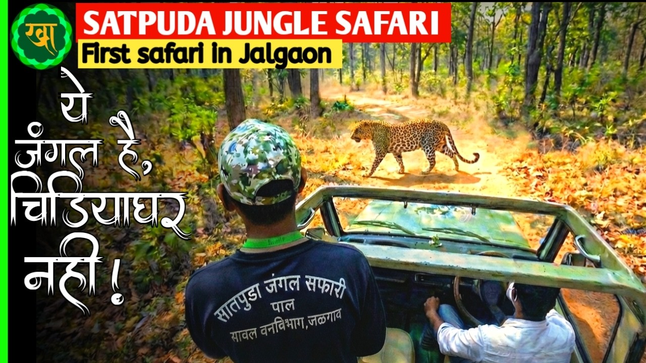 Satpuda PAL SAFARI: The Hidden GEM of Jalgaon Wildlife 🐅 |@khandeshMedia
