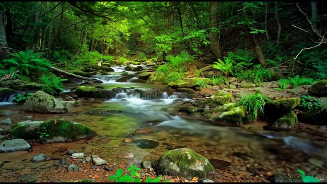 INSTANT PEACE: 8 Hours of Music That Melts Away Stress & Anxiety | Deep Sleep Aid & Focus