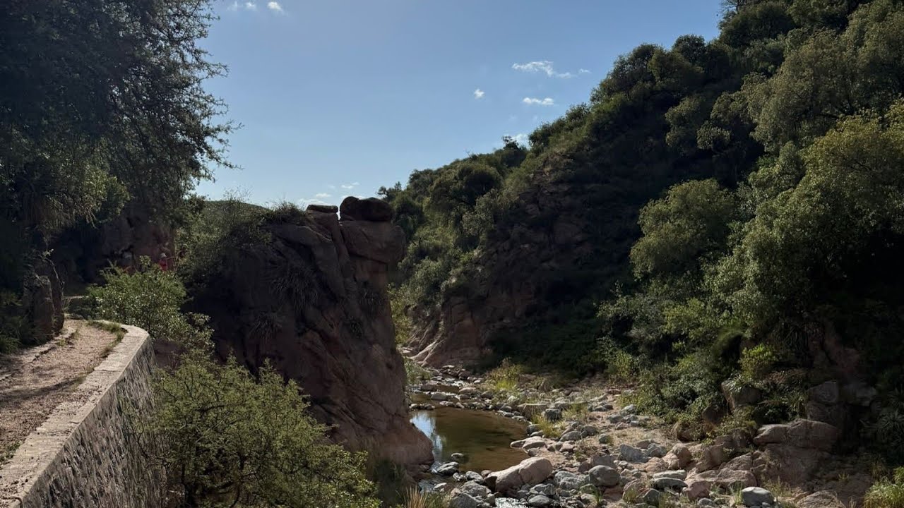 PAPAGAYOS P2(camino secreto)