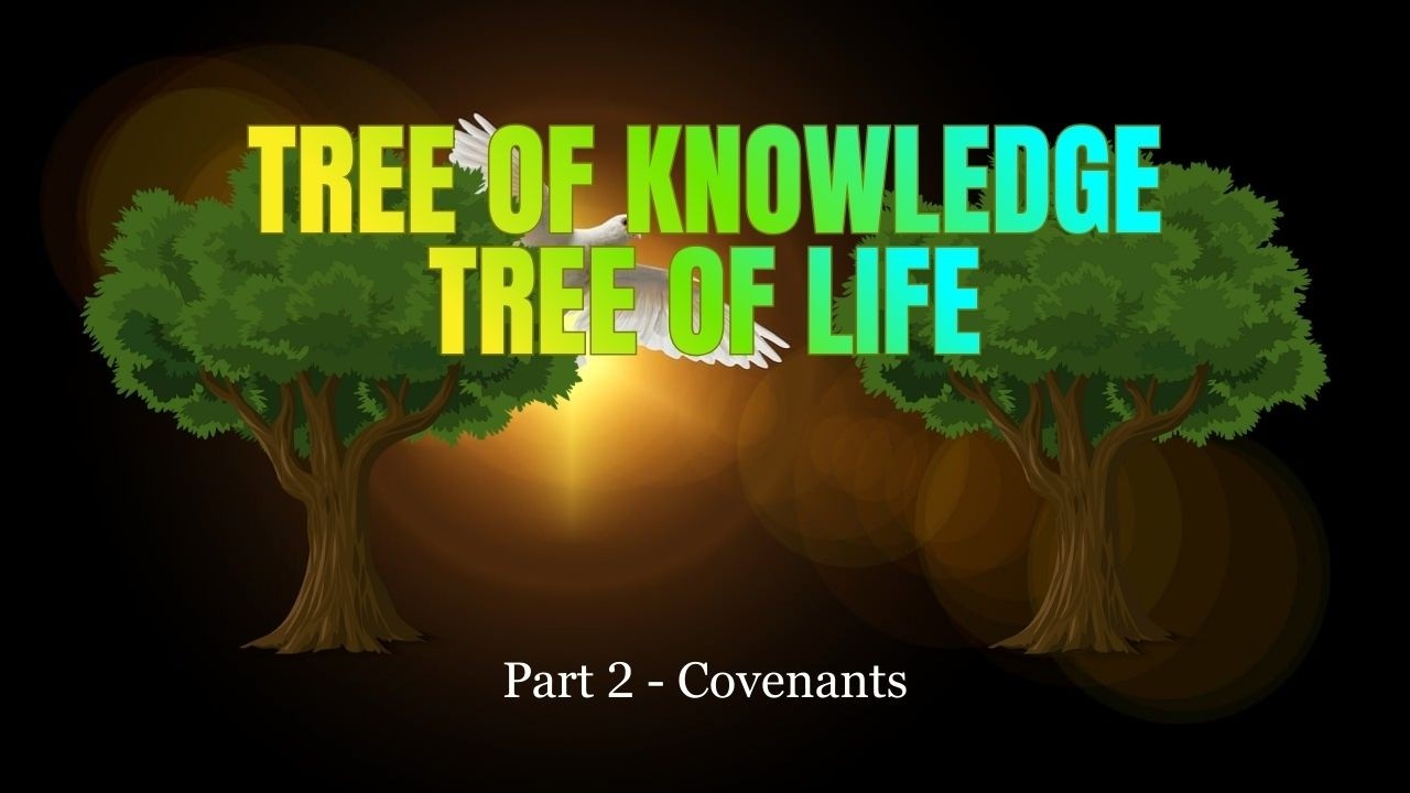 Tree of Knowledge, Tree of Life - Part 2 - Covenants