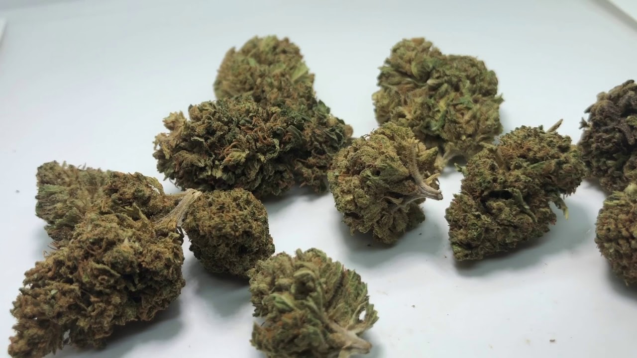 Gaia Wellness CBD HEMP FLOWER