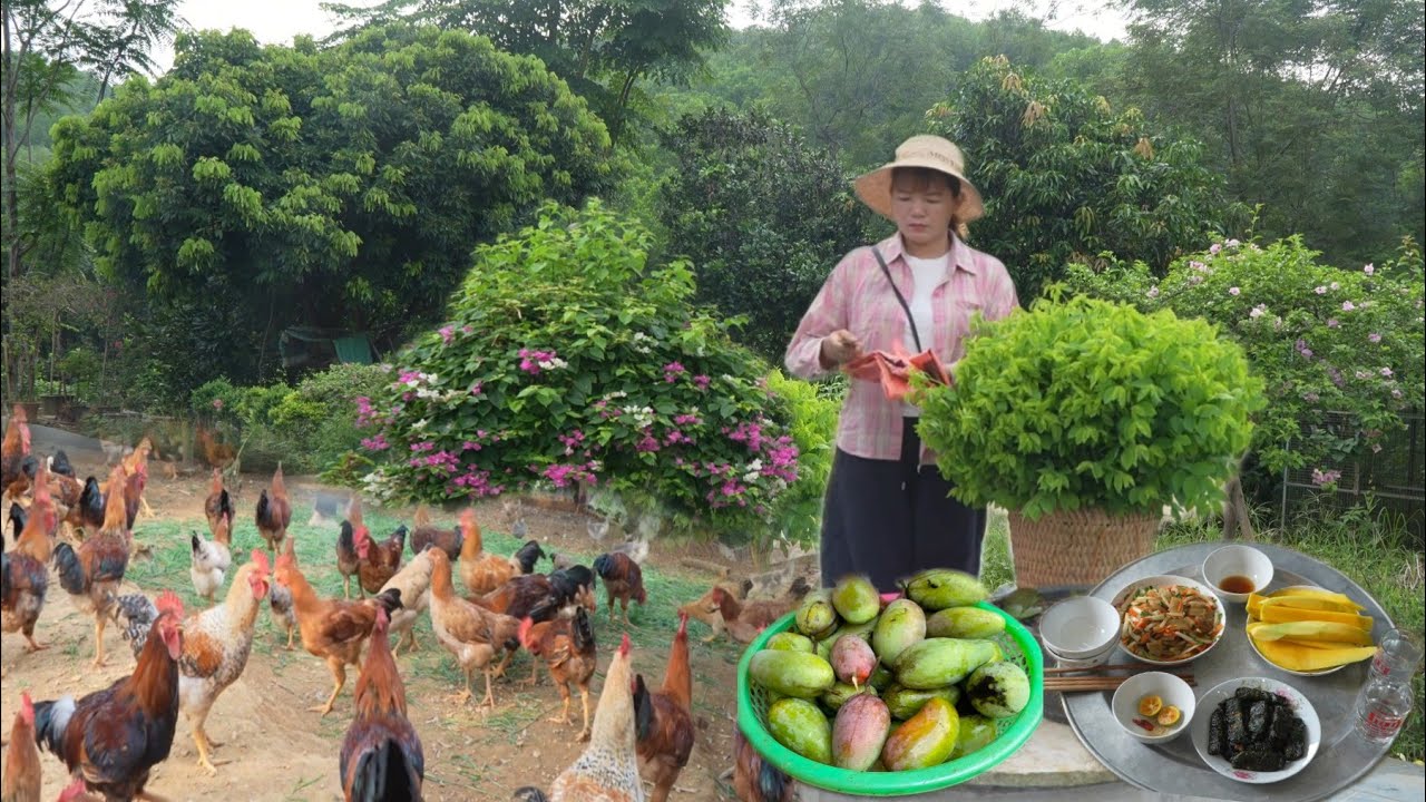 Selling vegetables and raising chickens. To have delicious meals. Country life/My farm. ( Ep 437 )