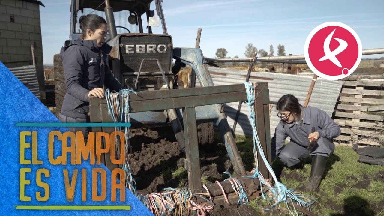 Isabel y Lidia han decidido arreglar los pinchos del tractor | El campo es vida