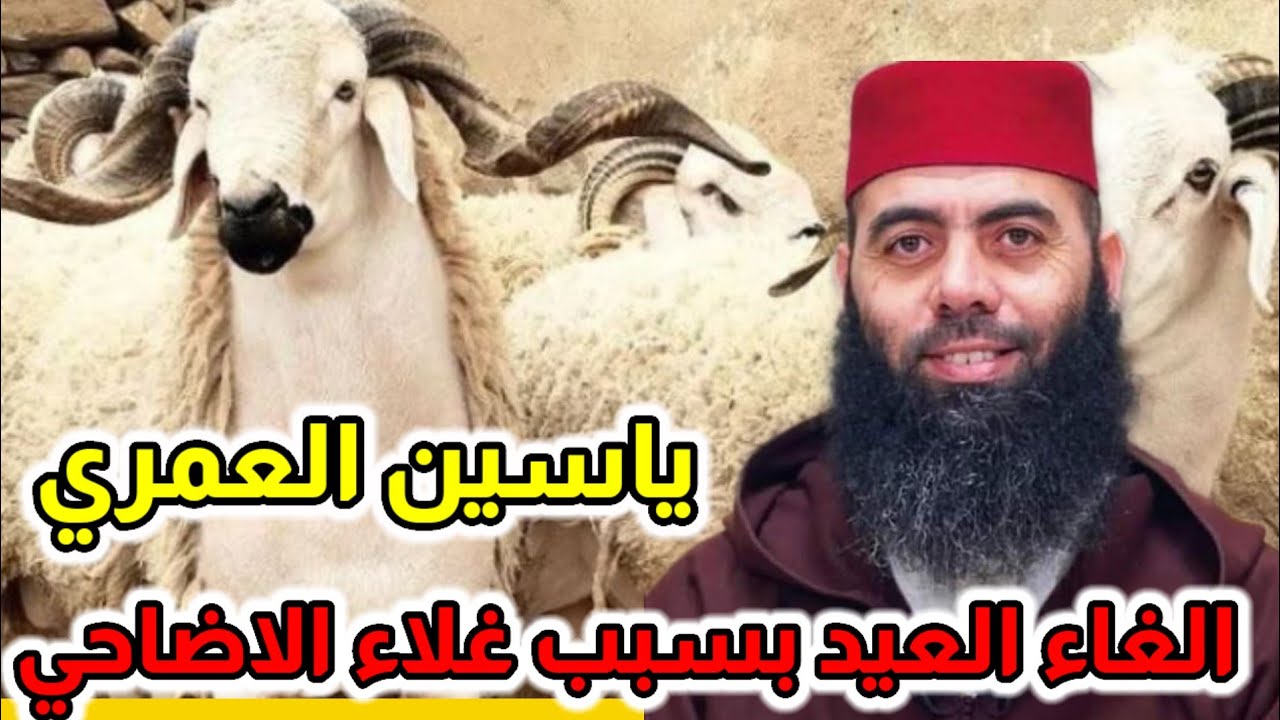 رأي ياسين العمري في الغاء العيد بسبب غلاء الاضاحي