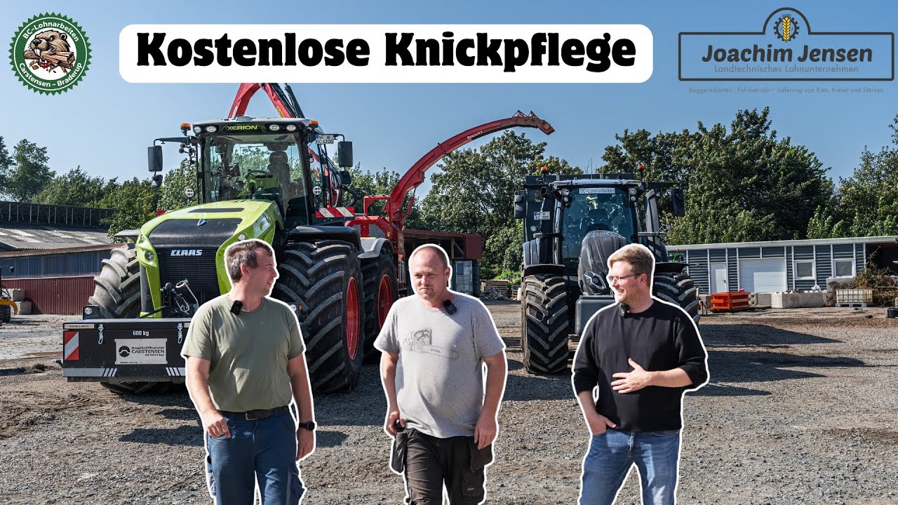 Kostenlose Knickpflege 📢 Spezielles Angebot für Landwirte, Gemeinden und Kommunen 🌾🌳