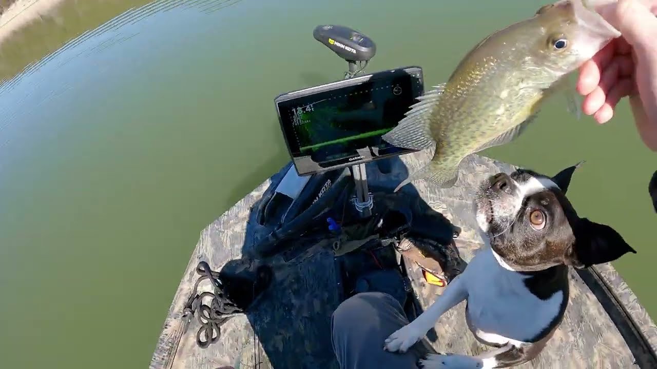 Casting to Norfork Crappie w/Livescope