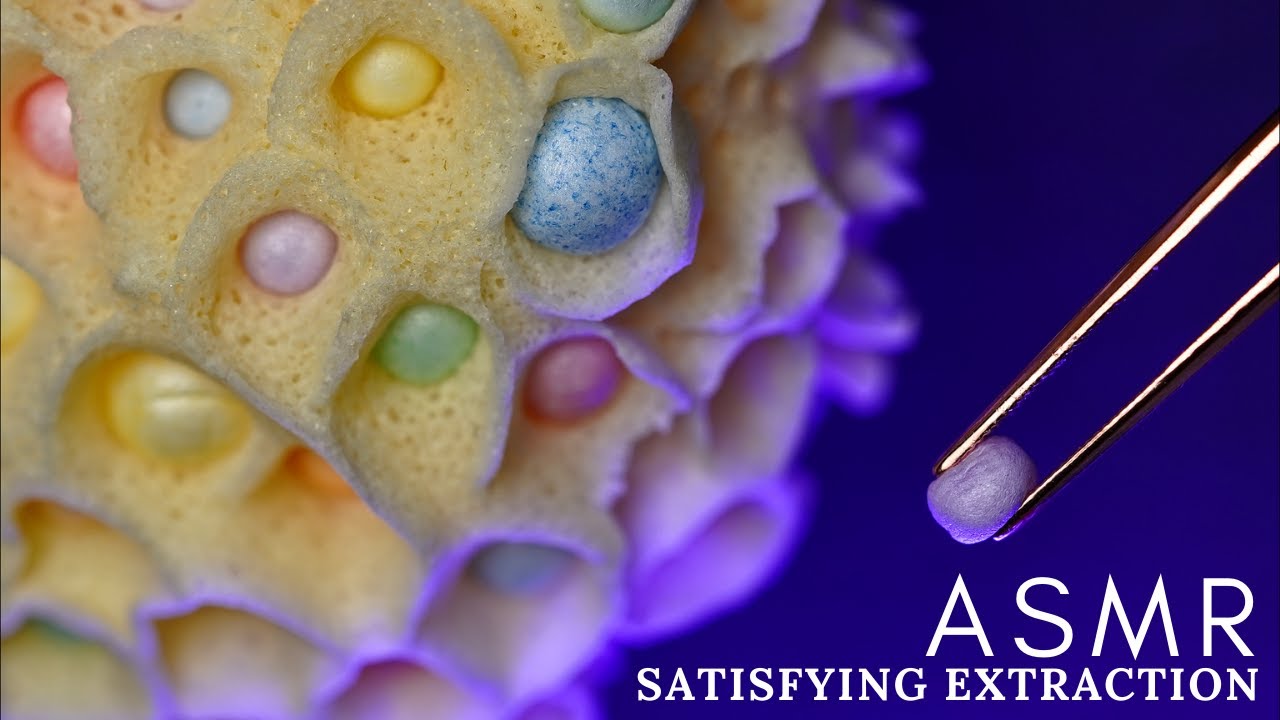 ASMR 😌 Oddly SATISFYING Pearls Extraction - No Talking