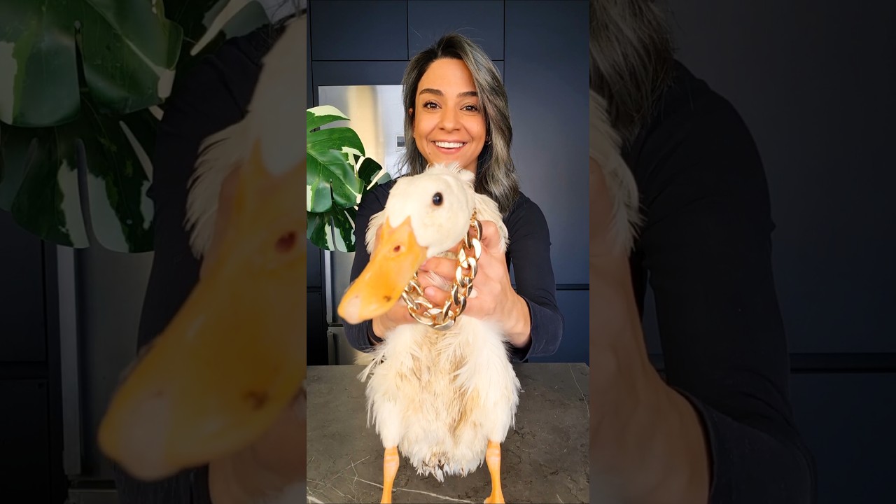 بطة Batta the Duck