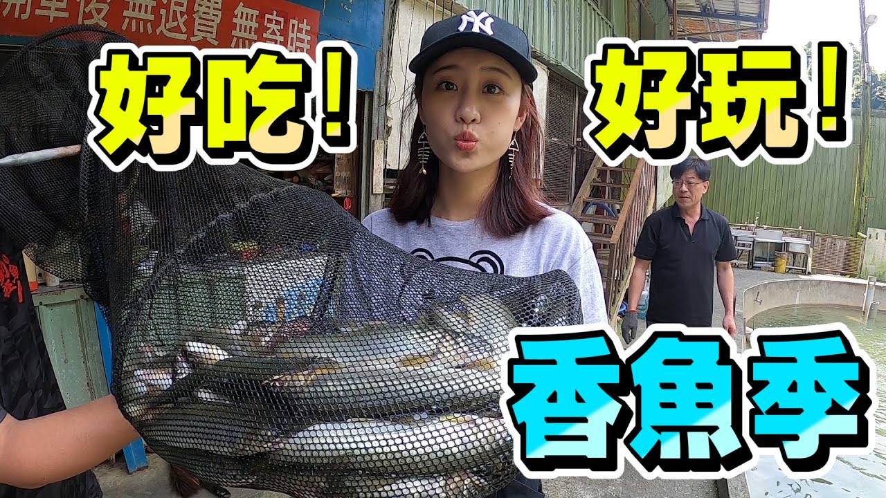 【亦起來釣魚】香魚季開跑囉!好吃的香魚哪裡釣呢?