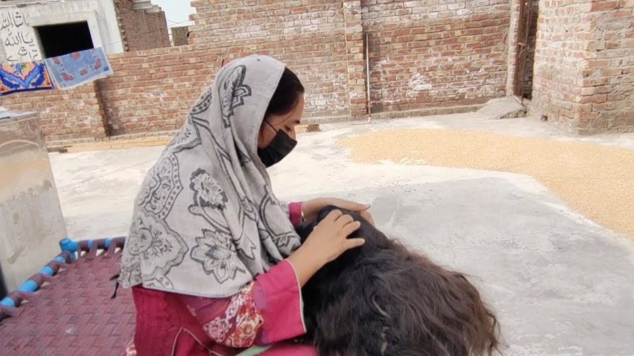 ASMRSAJIDA NITS PIKING