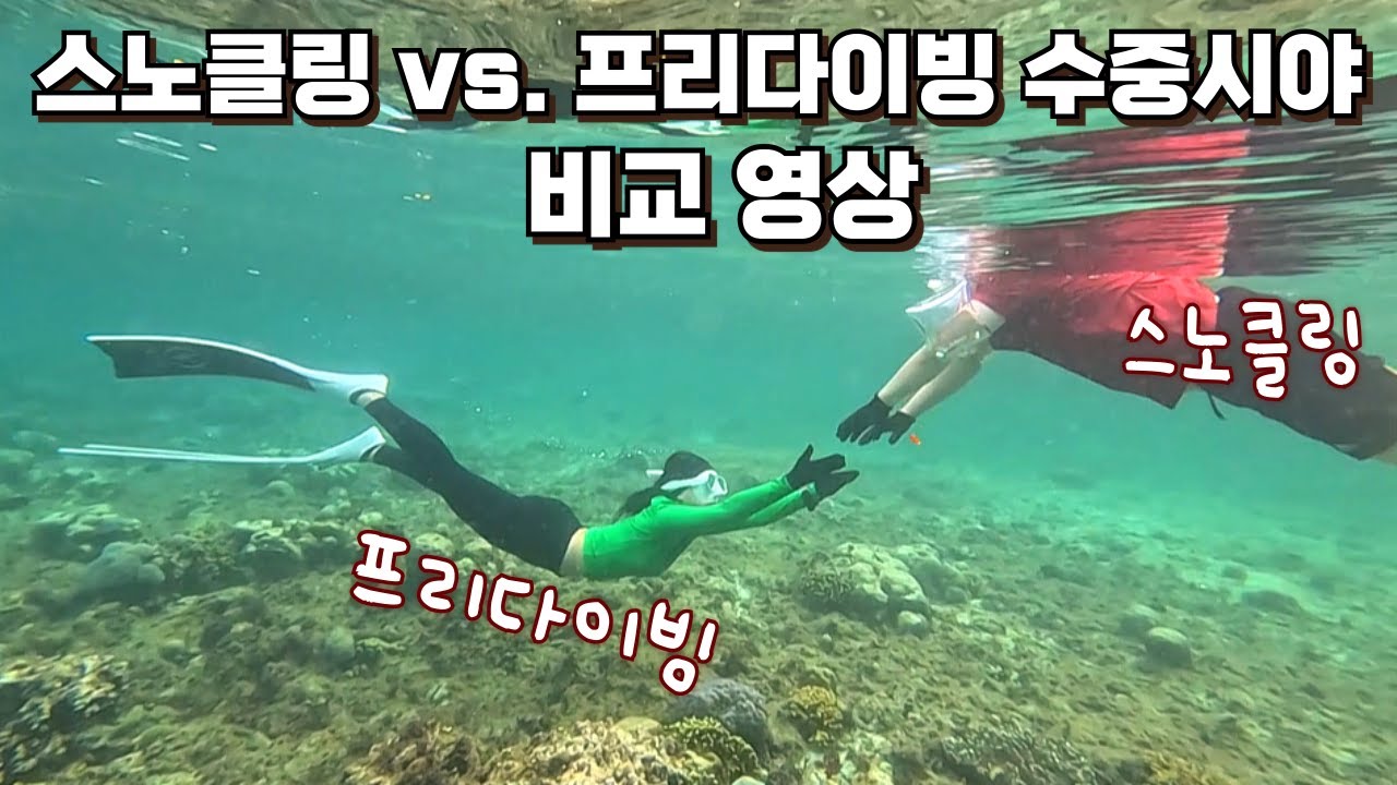 바다 스노클링 & 프리다이빙 수중시야 비교 | 필리핀 시키호르 투보드비치