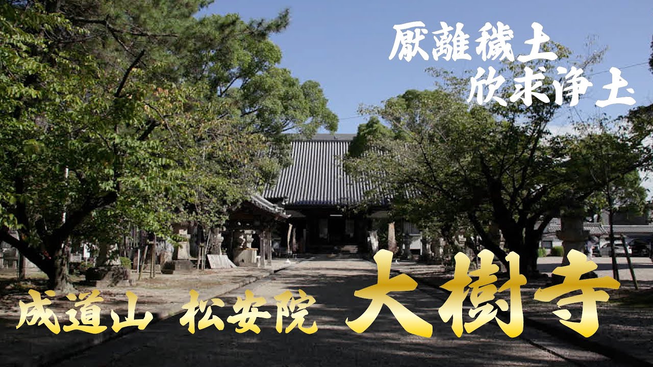 大樹寺のご紹介　徳川家康立志開運の地、愛知県岡崎市大樹寺をご紹介