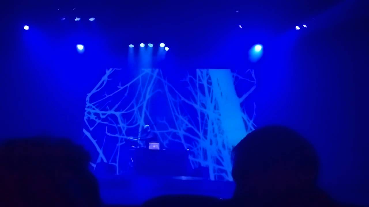 Robert Rich B-Wave 2015 Belgique