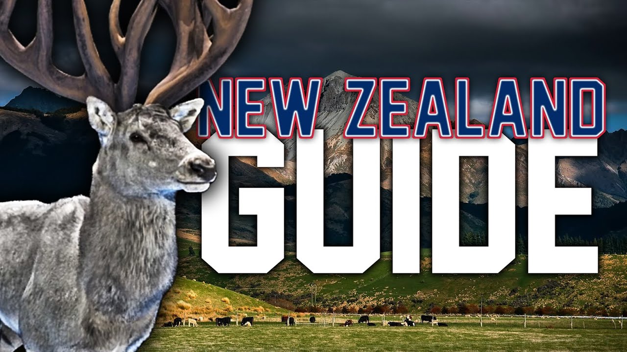 Matariki Park Guide | Deep Dive | New Zealand