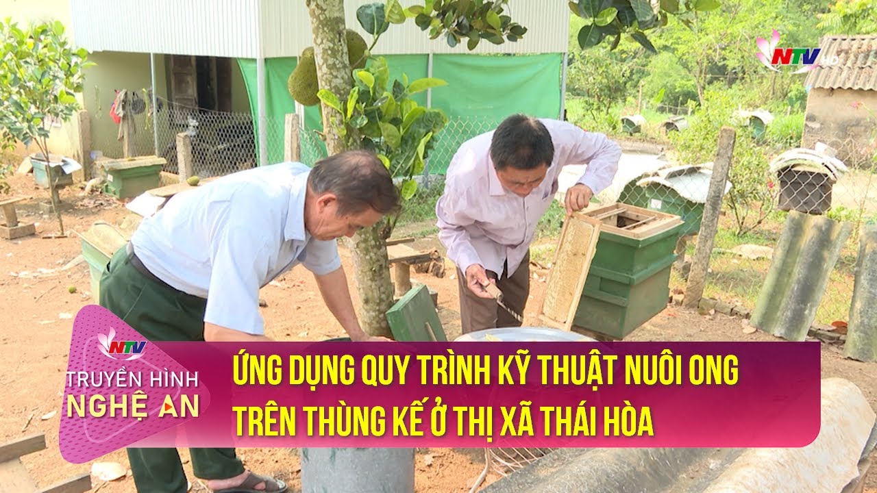 Ứng dụng quy trình kỹ thuật nuôi ong trên thùng kế ở thị xã Thái Hòa | Tạp chí Khoa học - Công nghệ