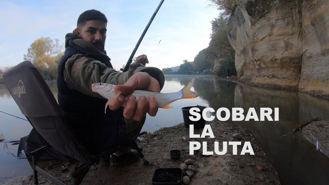 Pescuit mreana, scobar, morunas la PLUTA pe SOMES.