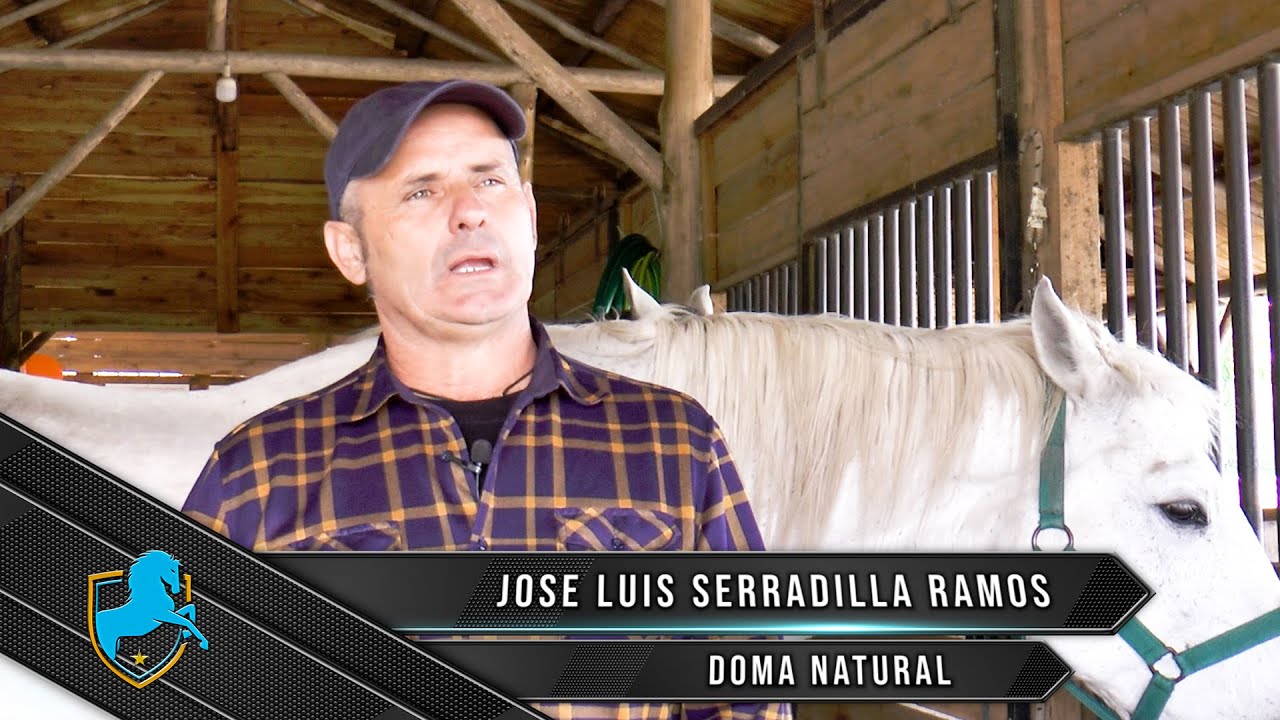 Caballos Argentinos TV - José Luis Serradilla - Doma Natural