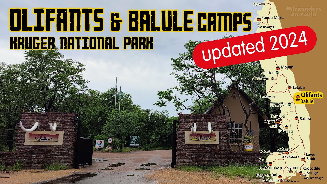 Kruger National Park: Olifants Rest Camp & Balule Satellite Camp UPDATED