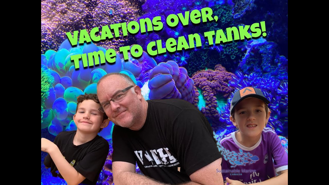650 Gallon Reef Maintenance - Adding a Trident NP and NYOS PURE Salt
