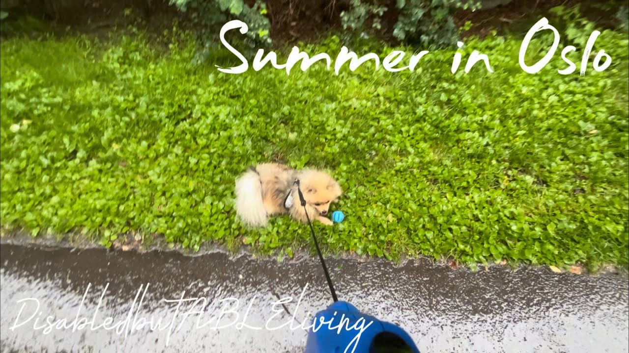 My ordinary days | Summer in Oslo