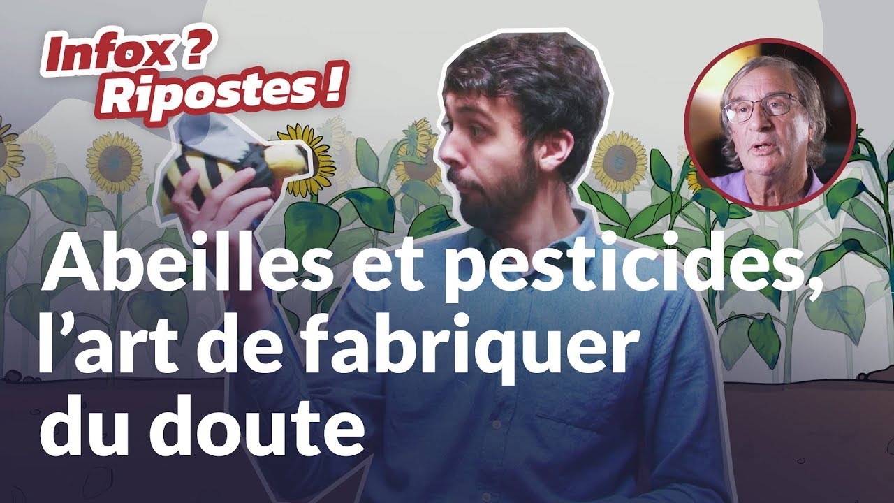 INFOS RIPOSTES - Abeilles et pesticides : l’art de fabriquer du doute