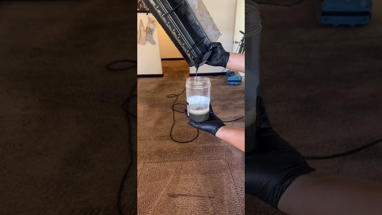 ASMR Steam cleaning a heavy pet stained bedroom intro voice over 