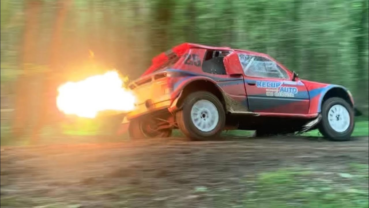 Rallye Terres du Gâtinais 2024 [SHOW&JUMP]