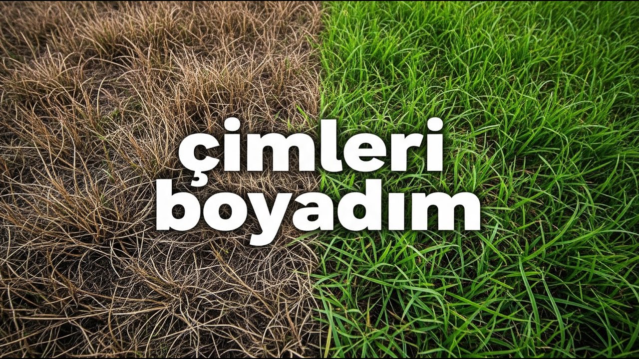 Solmuş Çimler Tarih Oldu! En Pratik Çim Boyama Yöntemi