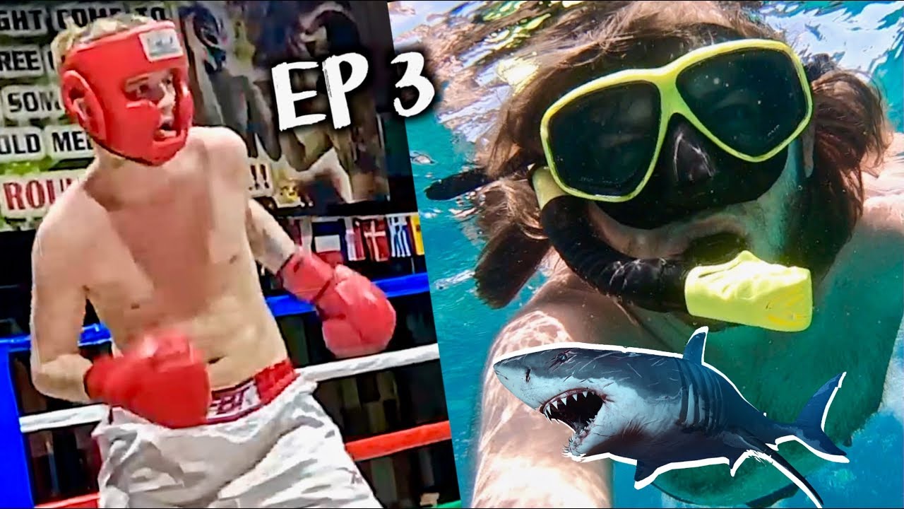 DYKKER MED HAJER & THAI BOXER! (Anton bliver smadret)
