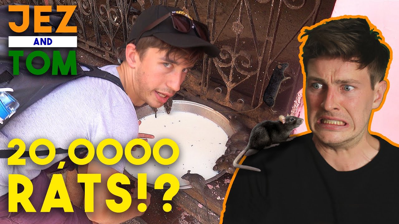 Indian Temple Infested with 20,000 RATS!  | Jez & Tom