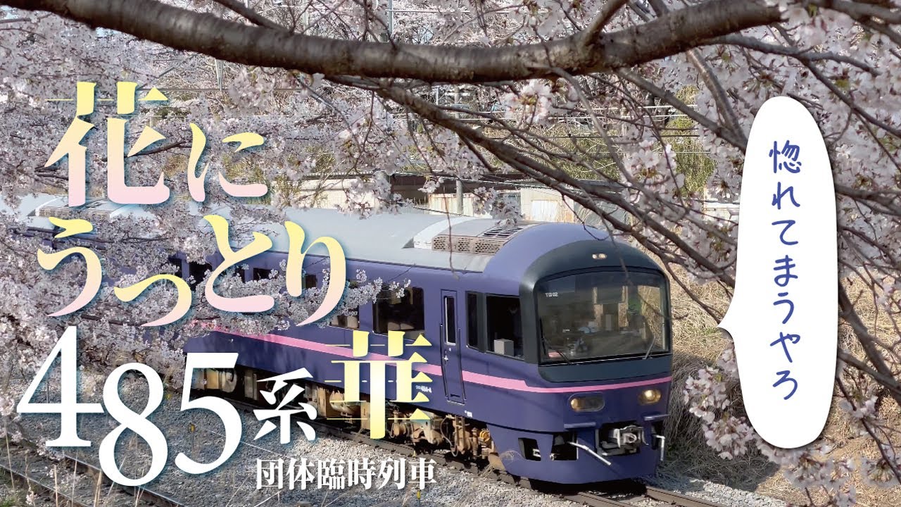 花咲く春の山梨を駆ける、485系 華 お座敷列車