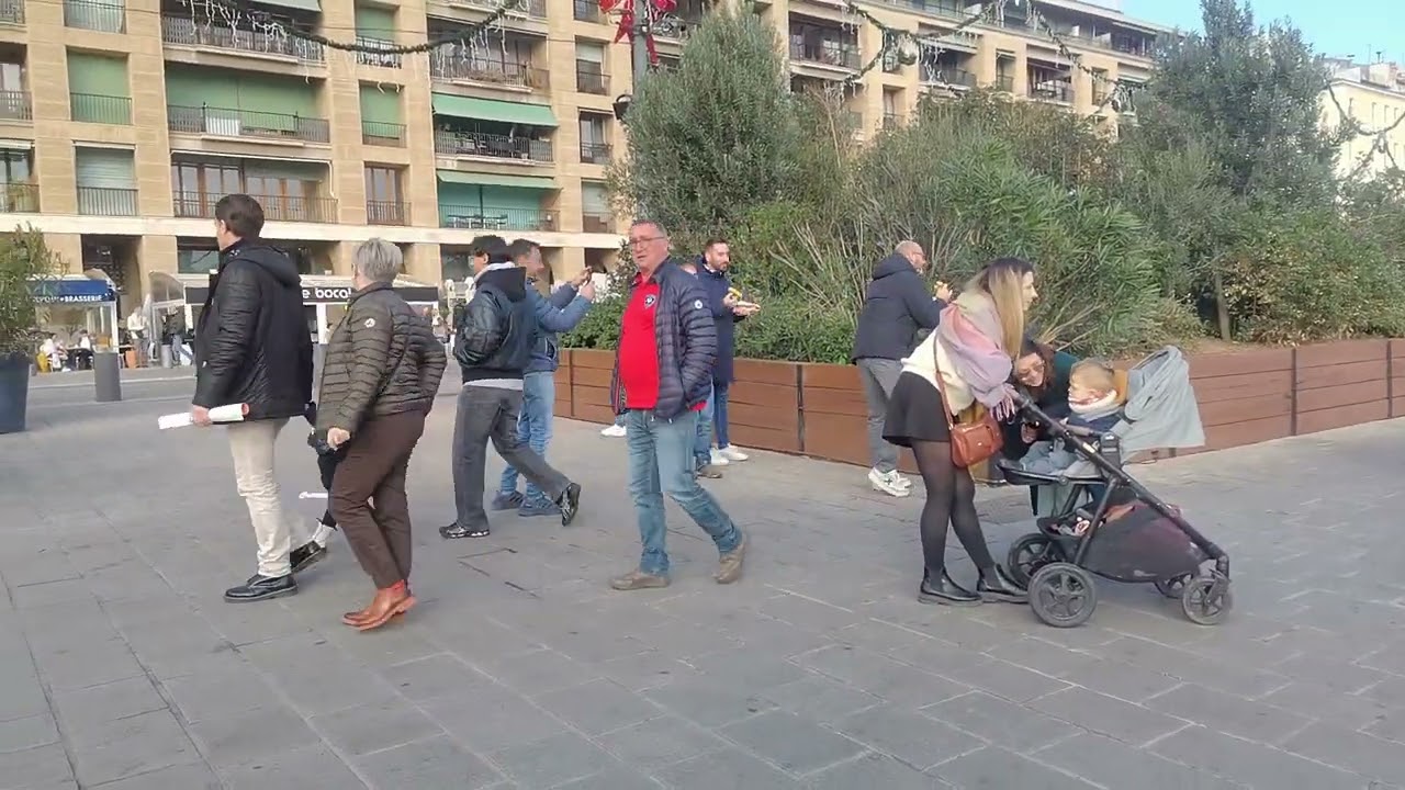 Maestro Seroga