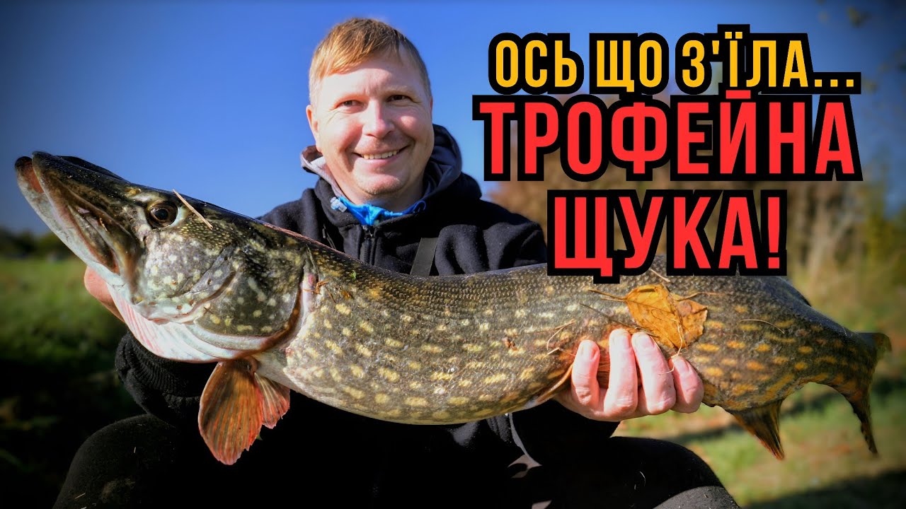 ЦЯ ТАКТИКА ПРАЦЮЄ! ✅ Як знайти і витягнути ГІГАНТСЬКУ ЩУКУ з ГОРИНІ