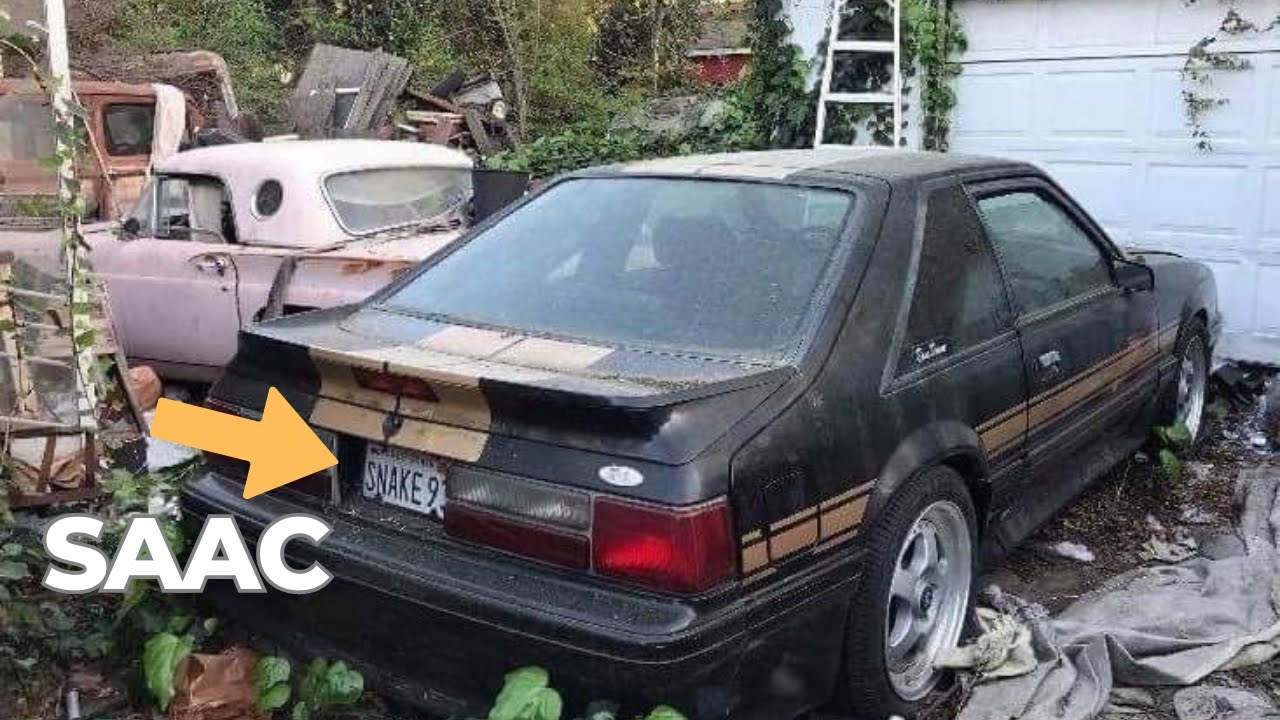 Невероятные «Мустанги» SAAC — не похожи ни на что, что вы видели раньше