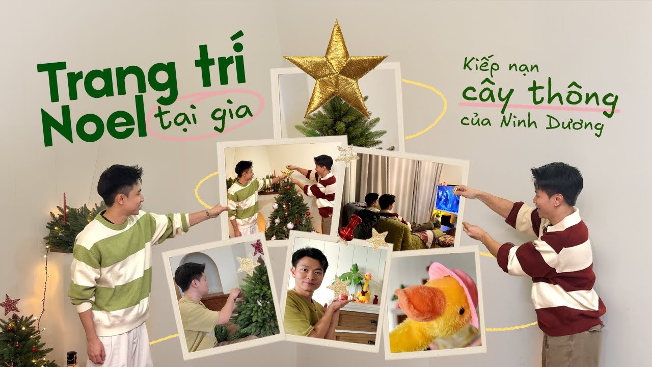 Trang trí Noel tại gia | Kiếp nạn cây thông của Ninh Dương