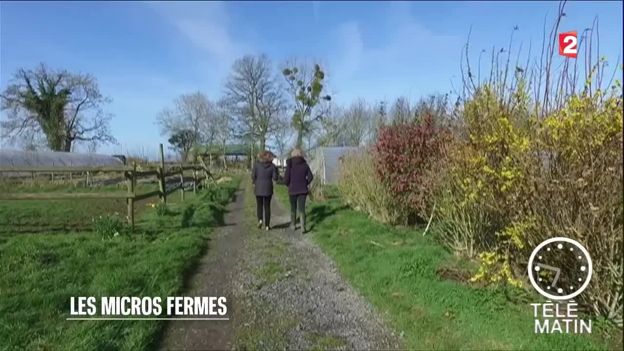 Sciences - Micro ferme bio et rentabilité - 2016/04/13