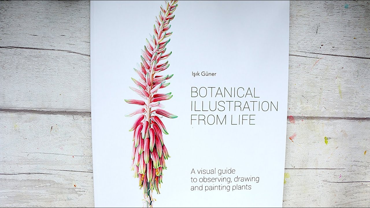 Botanical Illustration from Life by Isik Güner | Book Review