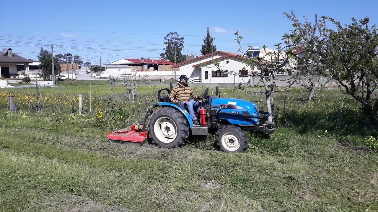 Preparar terreno para cultivar 1º passo capinar