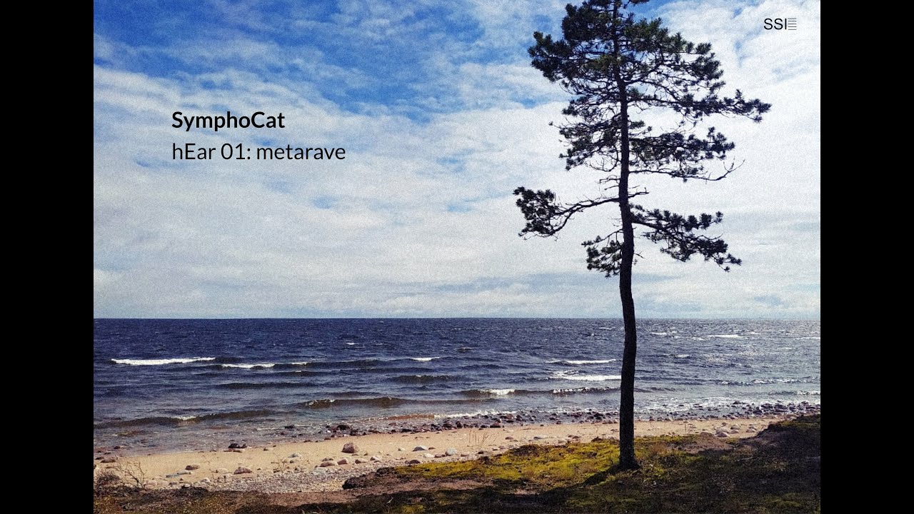 SymphoCat | hEar 01: metarave