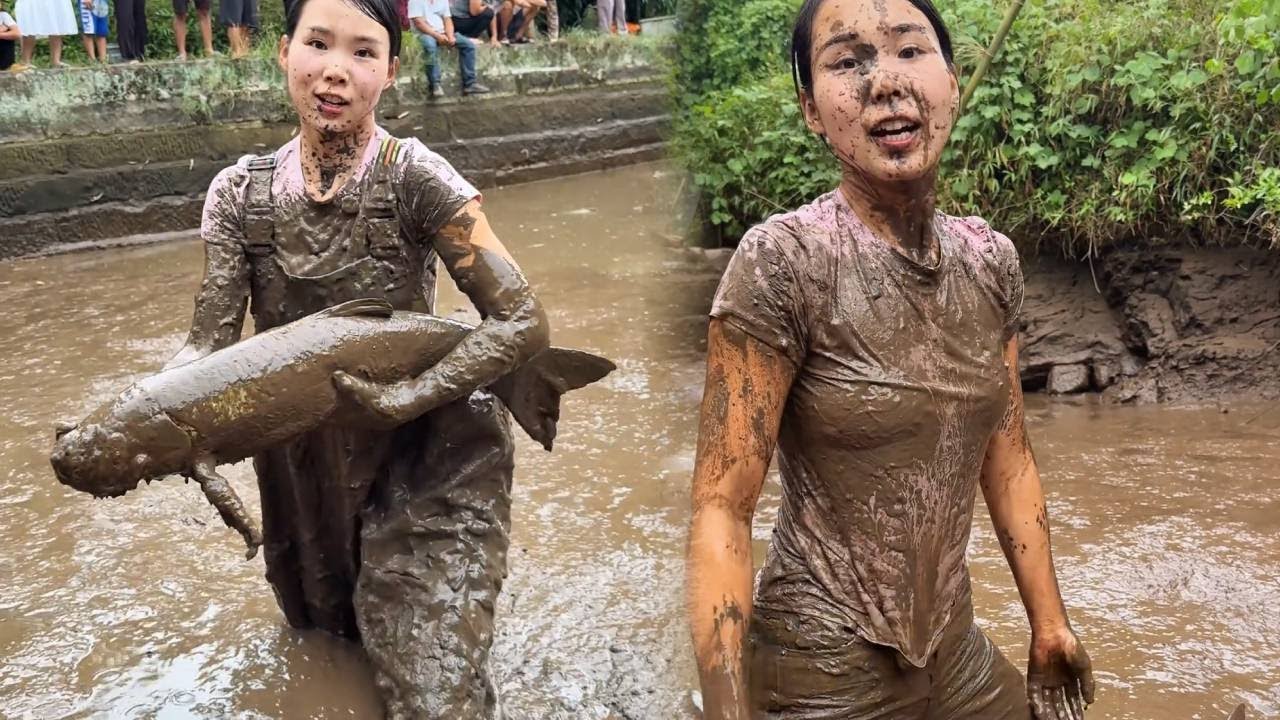 美女盘20年没清过的鱼塘，收获满满，每条都是20来斤，这回赚了！