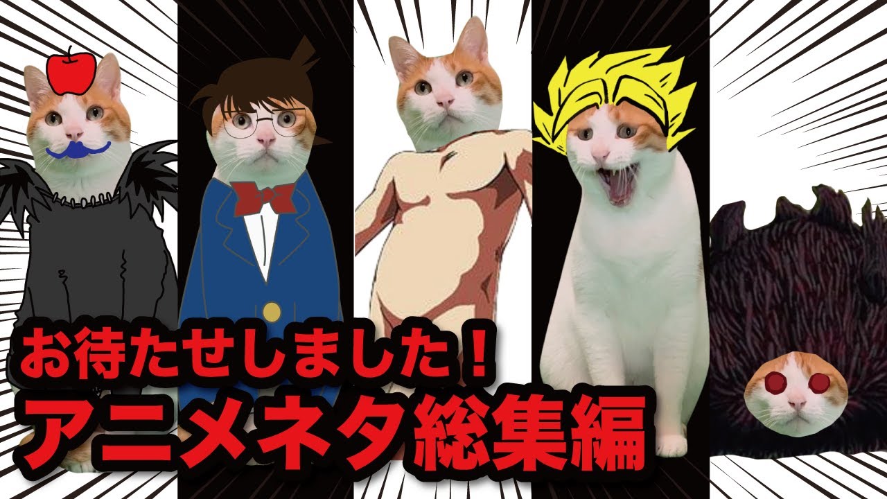 アニメと猫好き全員集合！ドラゴンボールから進撃の巨人まで色んなネタしちゃいます【総集編】【猫アニメ】【コント】