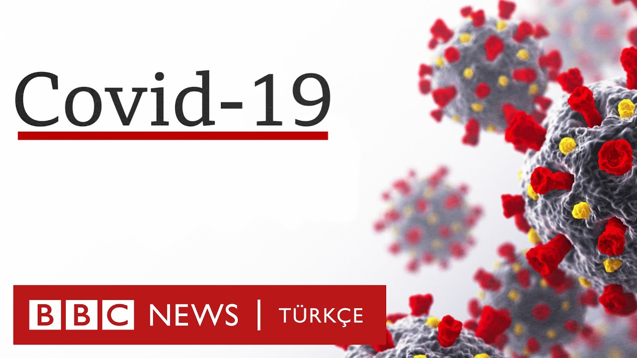 Koronavirüs vücudumuzu nasıl etkiliyor? Covid-19 nedir?