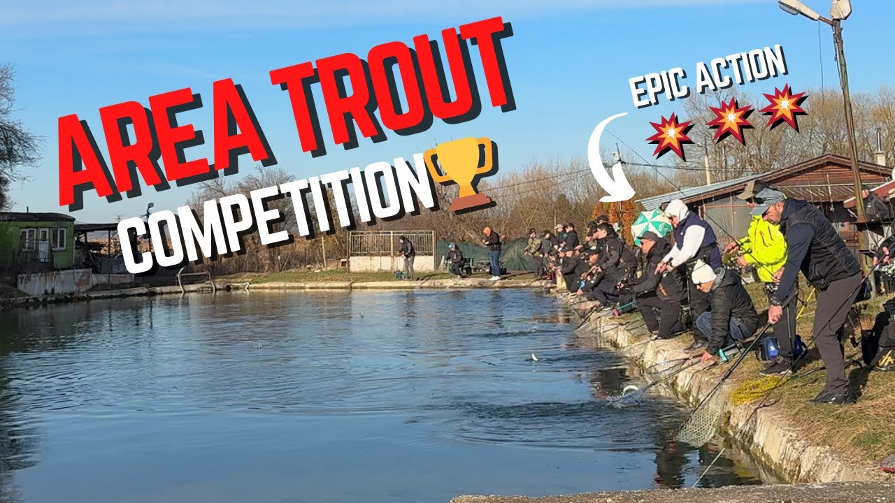 Area Trout Fishing Competition Chaos 🎣 (I Almost Made Top 10!)