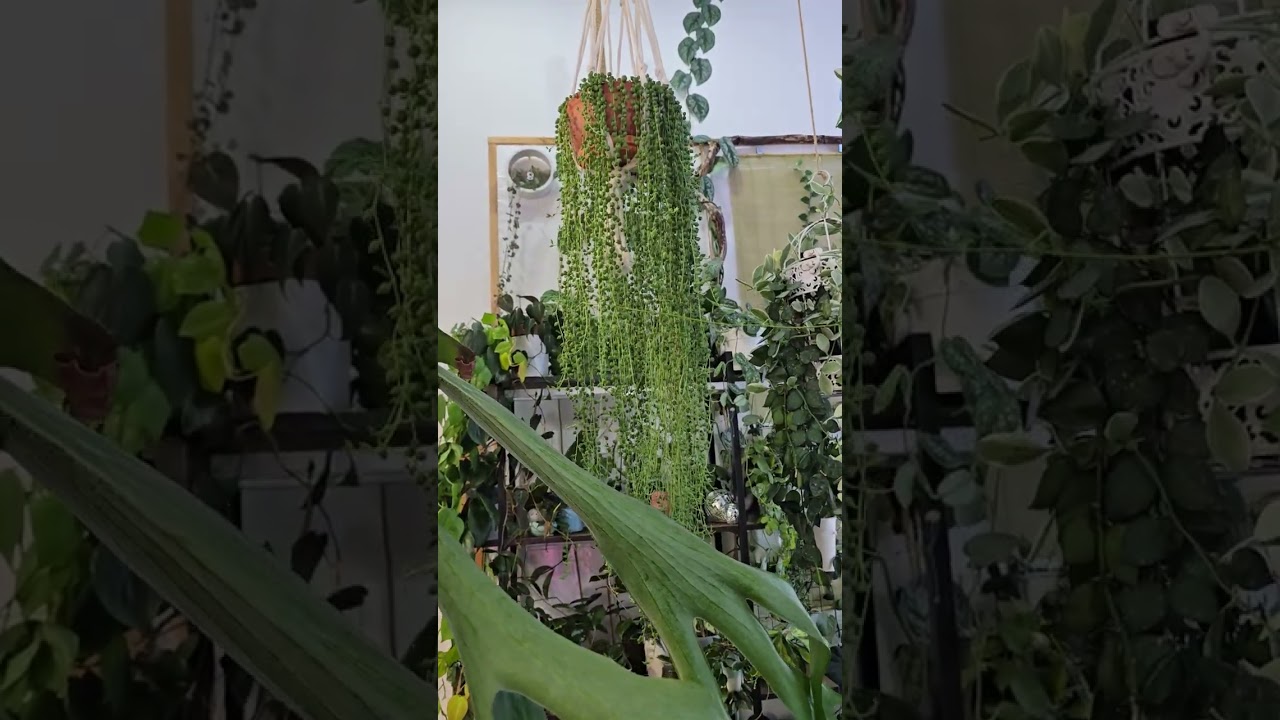 Обзор второй части коллекции ЯНВАРЬ 2026