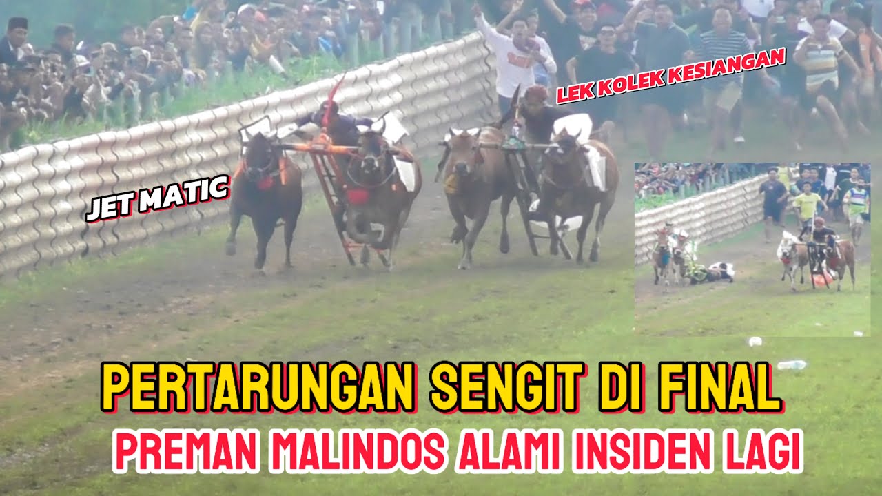 final kerapan sapi piala kapolres cup sampang 2025