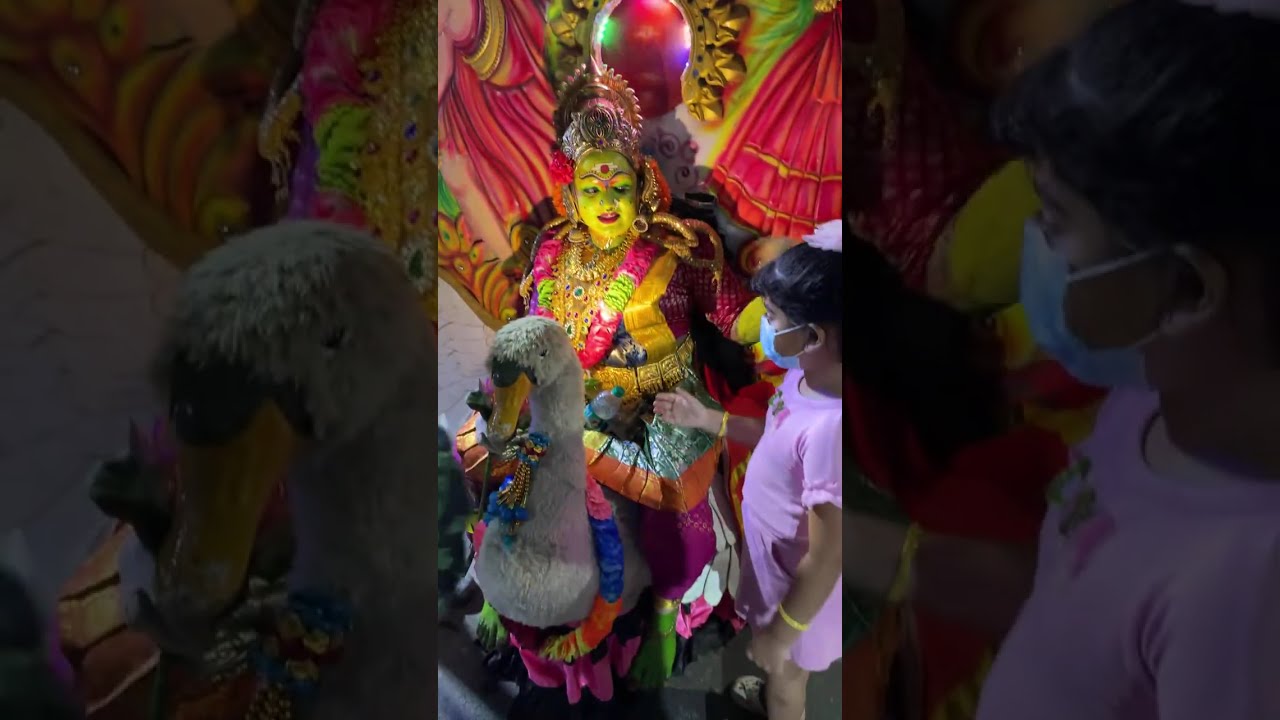 ULSAVAM KAVADI -2026 is live